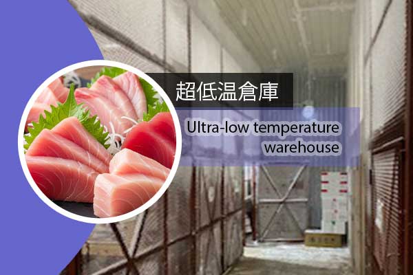 超低温倉庫